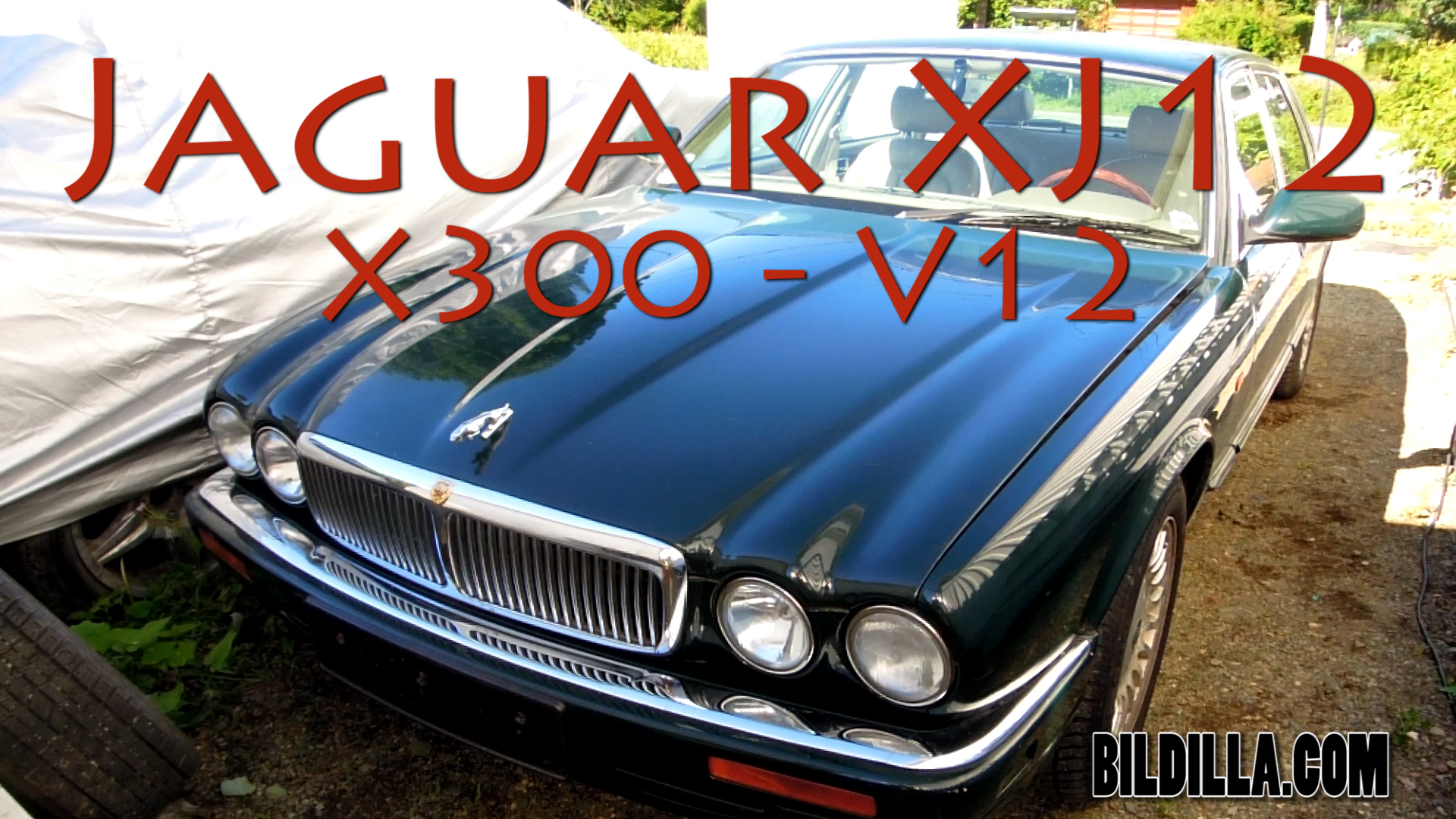 Jaguar V12 prosjekt