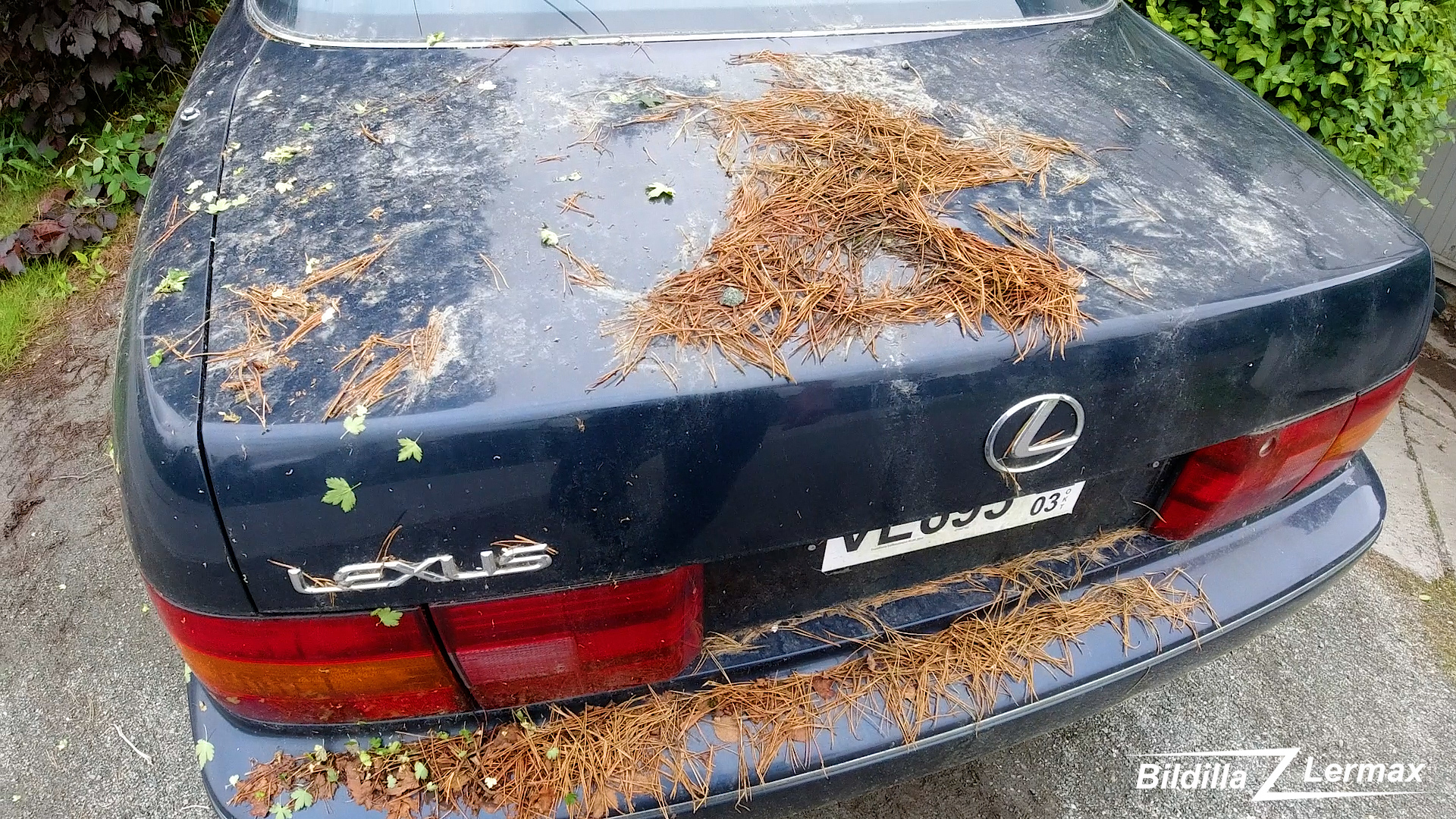 LS400_skitten1
