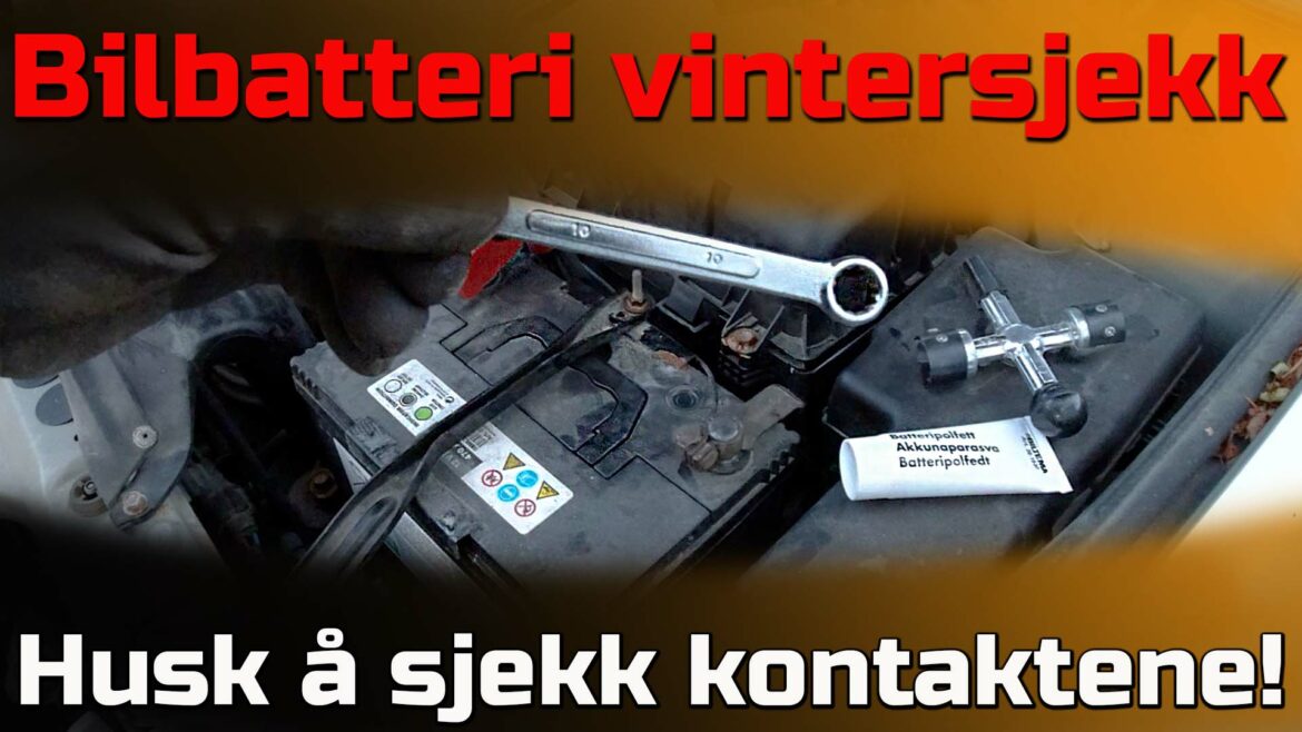 Bilbatteri vintersjekk