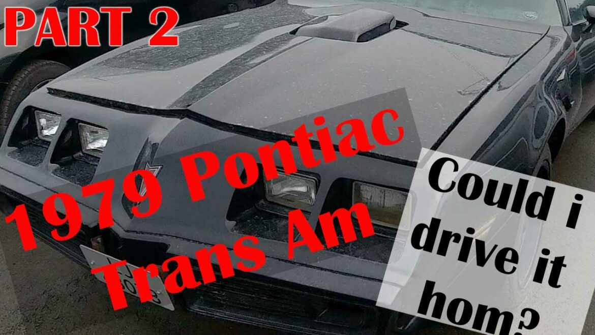 Could I drive it home? 1979 Pontiac Trans Am